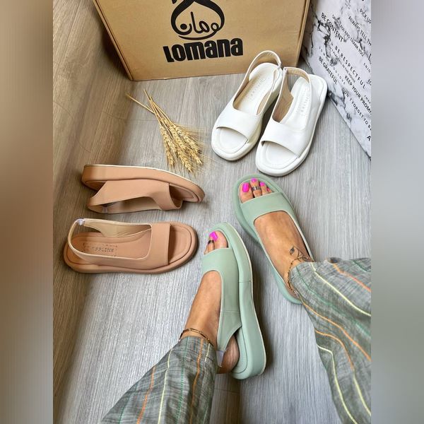 ونس پشتکش تکبند _ 1480